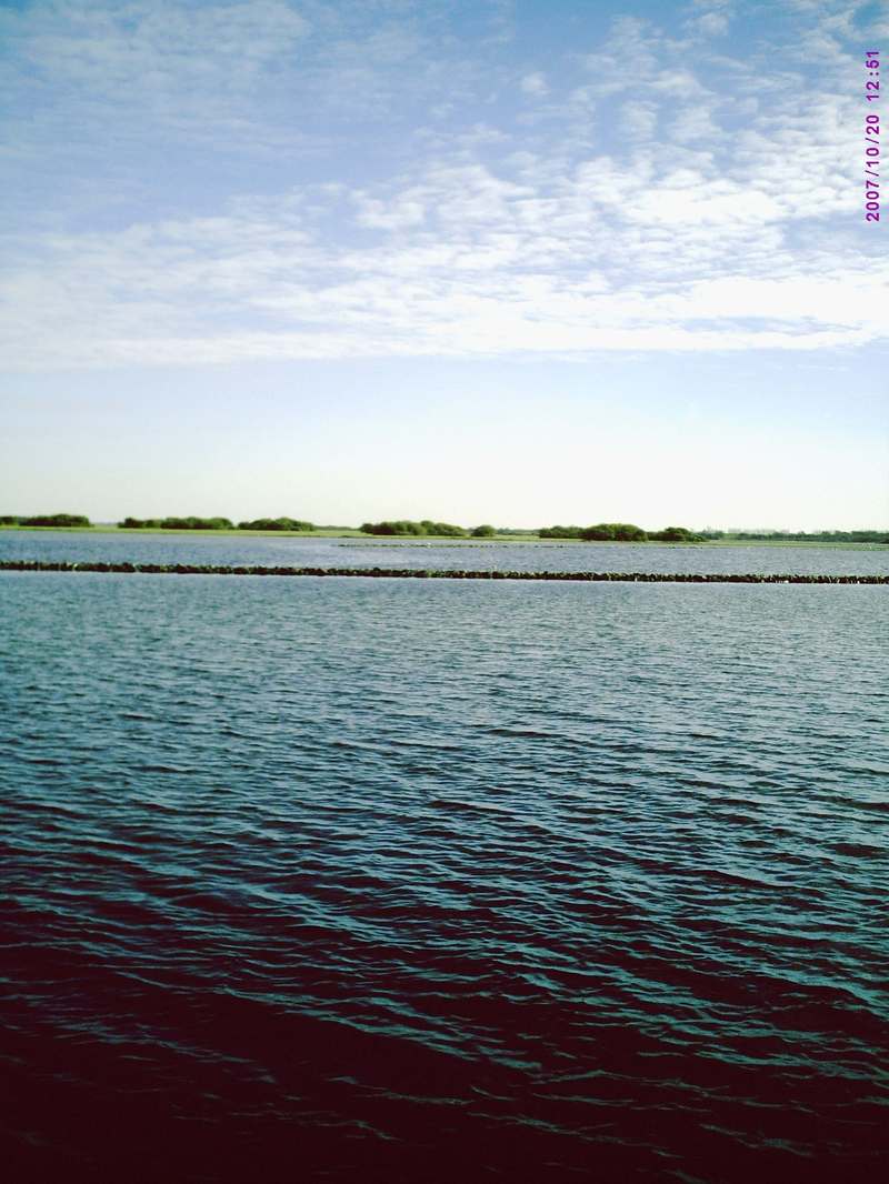 JMMU0053.JPG