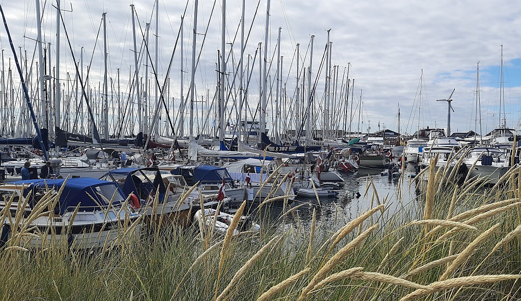 Anholt Voll
