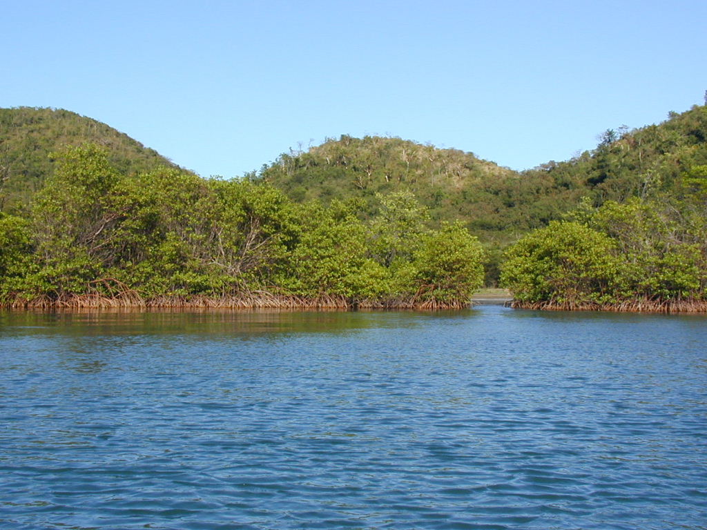 Bucht Auf Grenada