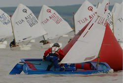 Tanja In Action