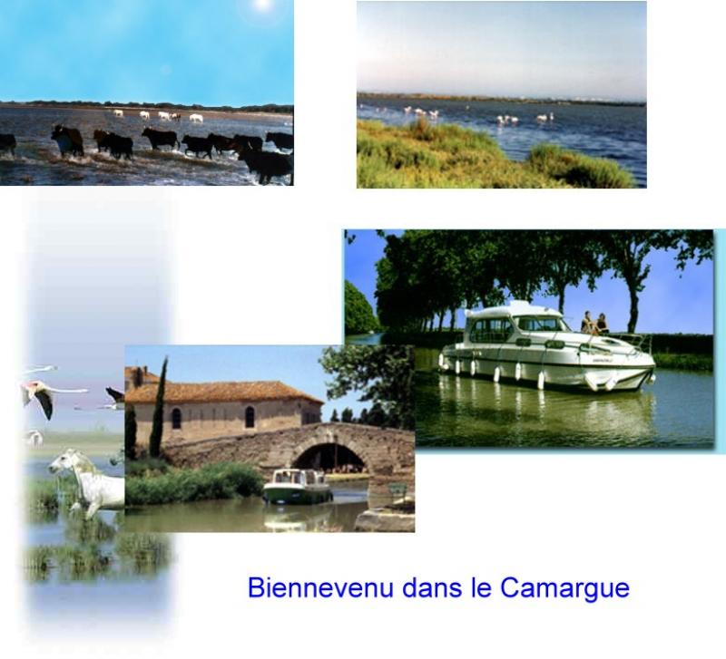 Hintergrund Camarque 1