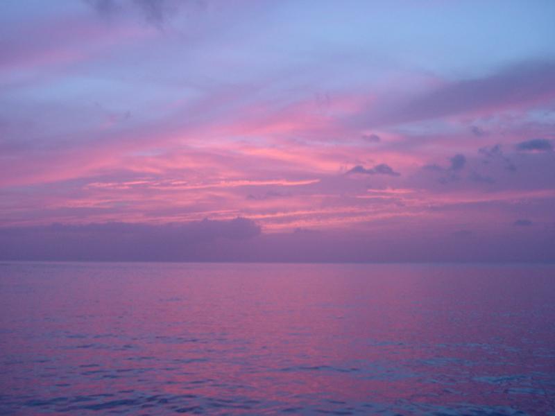 Dsc00239
